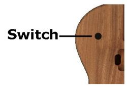 Gibson switch